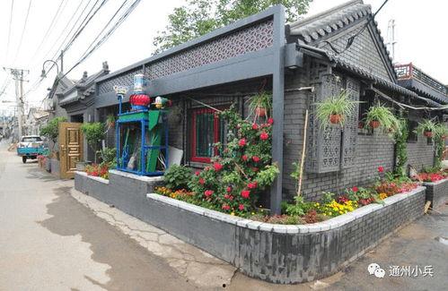 高平演唱会2025最新爆料,独家爆料，巨星阵容及精彩看点大揭秘