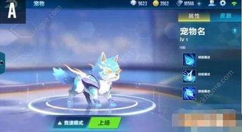 qq飞车最新爆料宠物,萌宠助阵，速度与激情再升级！